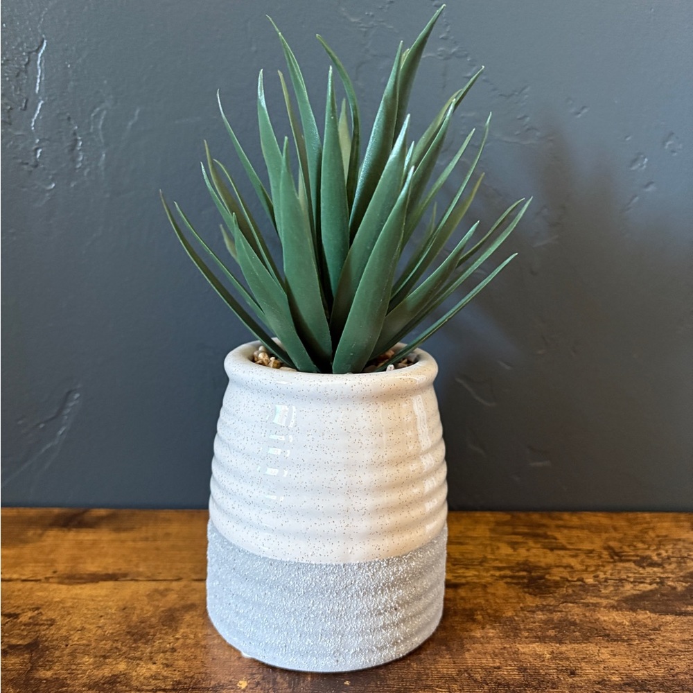 Ceramic Two-Tone Planter with Faux Succulent